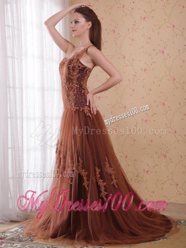 Brown One Shoulder BrushSweep Appliques Celebrity Dress 2013