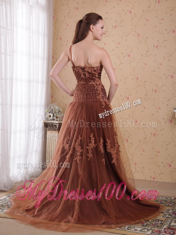 Brown One Shoulder BrushSweep Appliques Celebrity Dress 2013