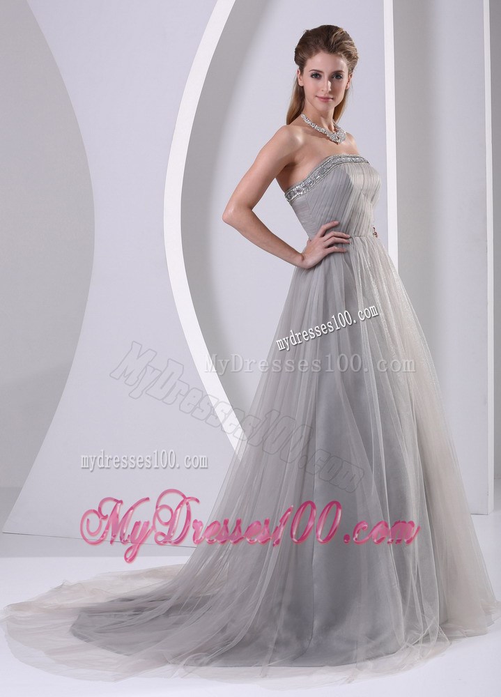 Grey Strapless Beaded Simple Celebrity Dress With Sweep Train