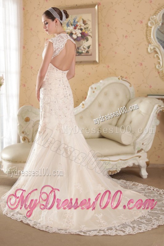 Turn Heads Champagne V-neck Chapel Train Lace Wedding Dress