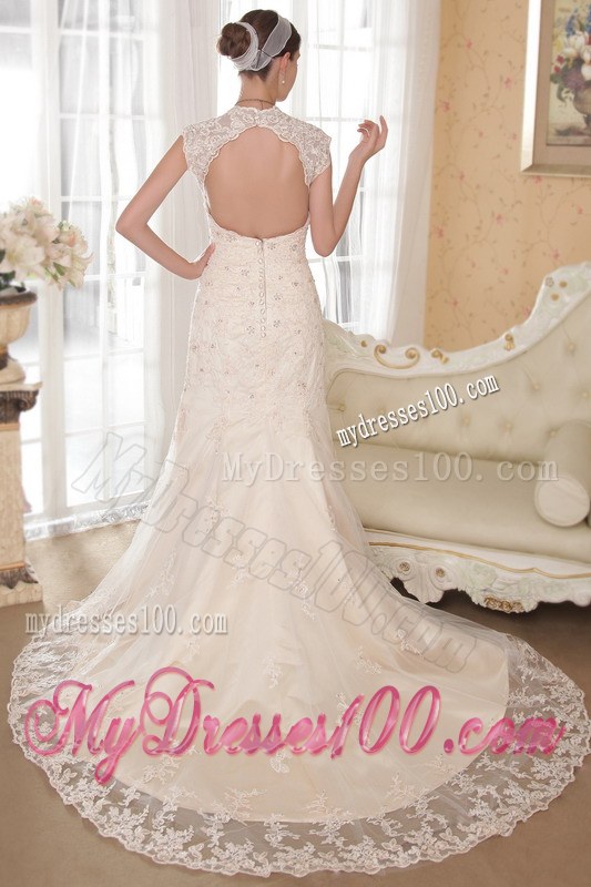 Turn Heads Champagne V-neck Chapel Train Lace Wedding Dress