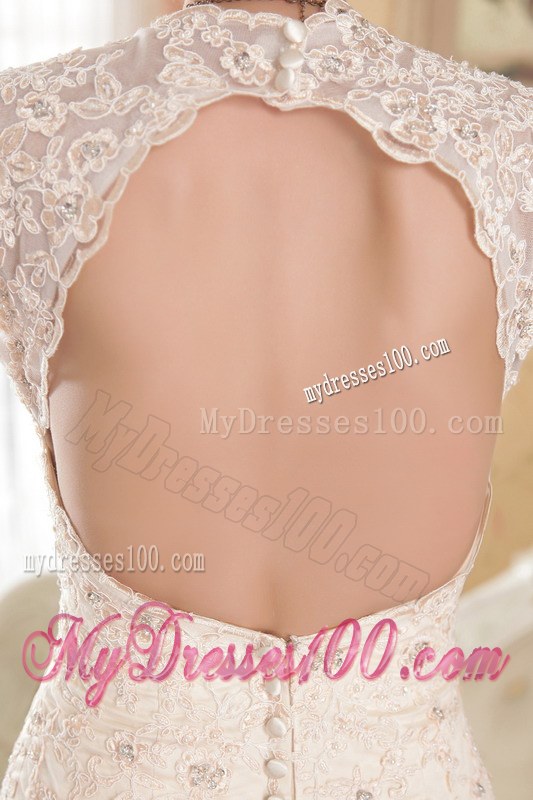 Turn Heads Champagne V-neck Chapel Train Lace Wedding Dress