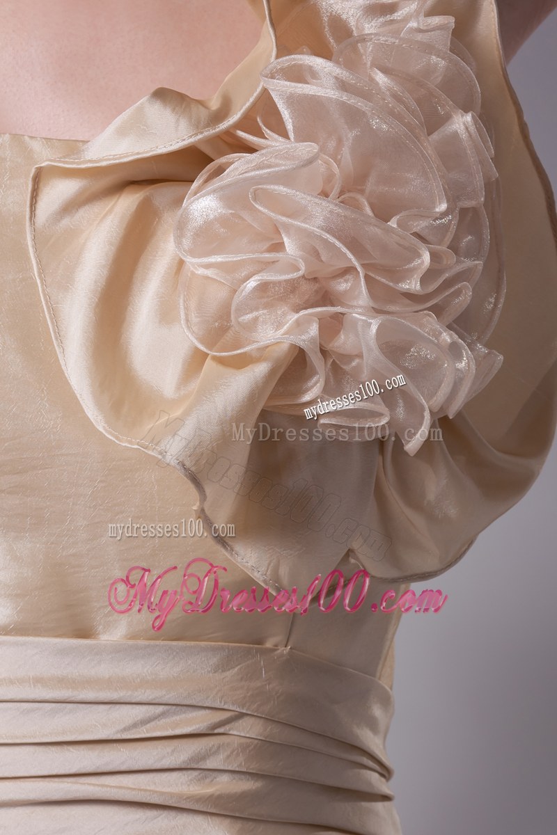 Handle Flowers and Bowknot Decorated Champagne Bridal Dress with Sweep Train