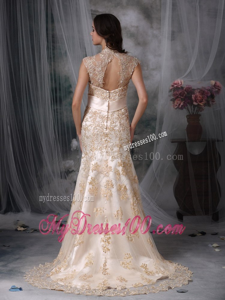 Impressive Champagne V-neck Appliques Wedding Dress with Cutout Back