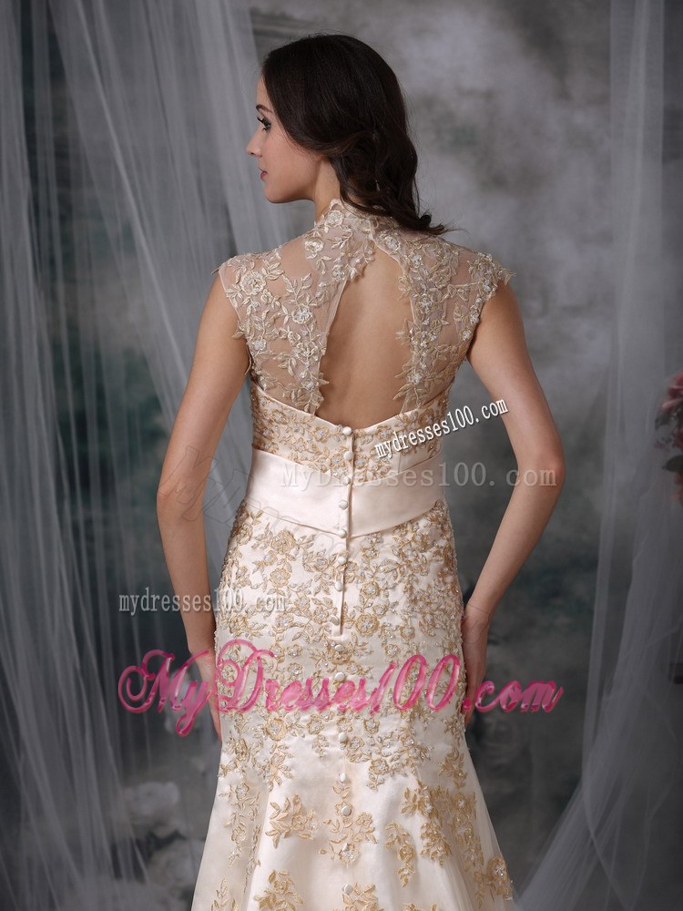 Impressive Champagne V-neck Appliques Wedding Dress with Cutout Back