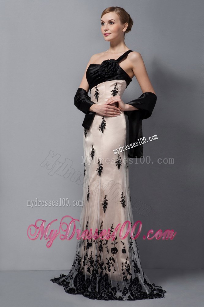 Beautiful Champagne Mother of Bride Dress One Shoulder Hand Made Flower Lace Train