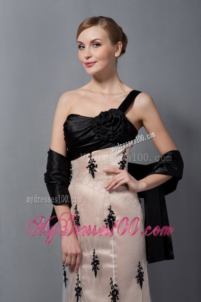 Beautiful Champagne Mother of Bride Dress One Shoulder Hand Made Flower Lace Train