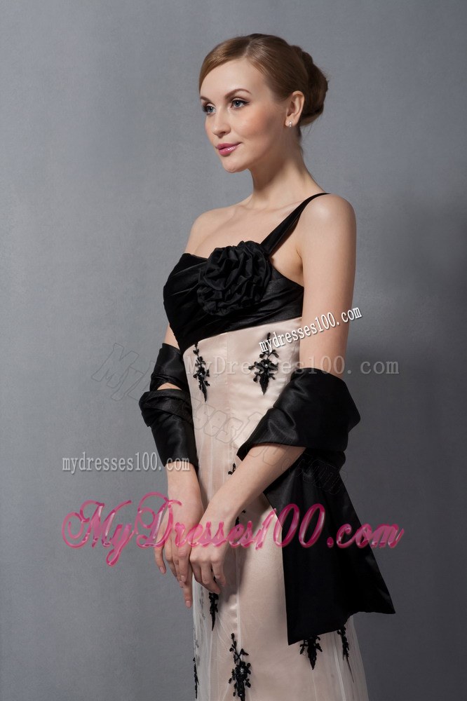 Beautiful Champagne Mother of Bride Dress One Shoulder Hand Made Flower Lace Train