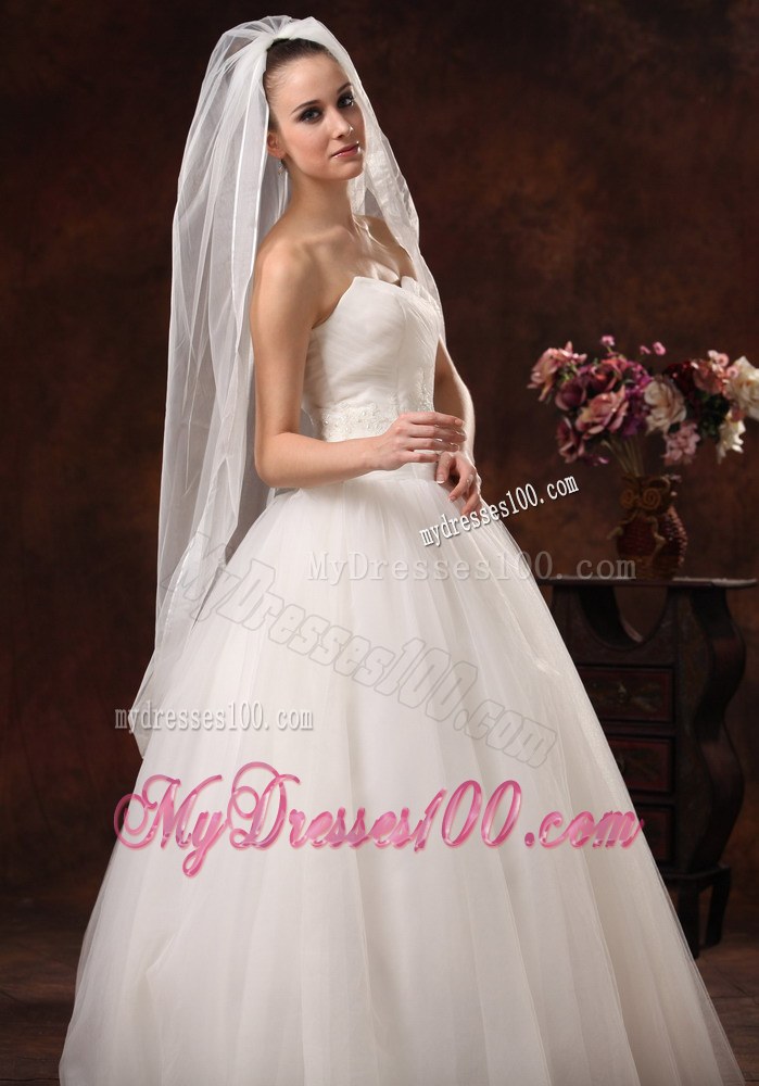 Beautiful Organza Bridal Veil For Wedding