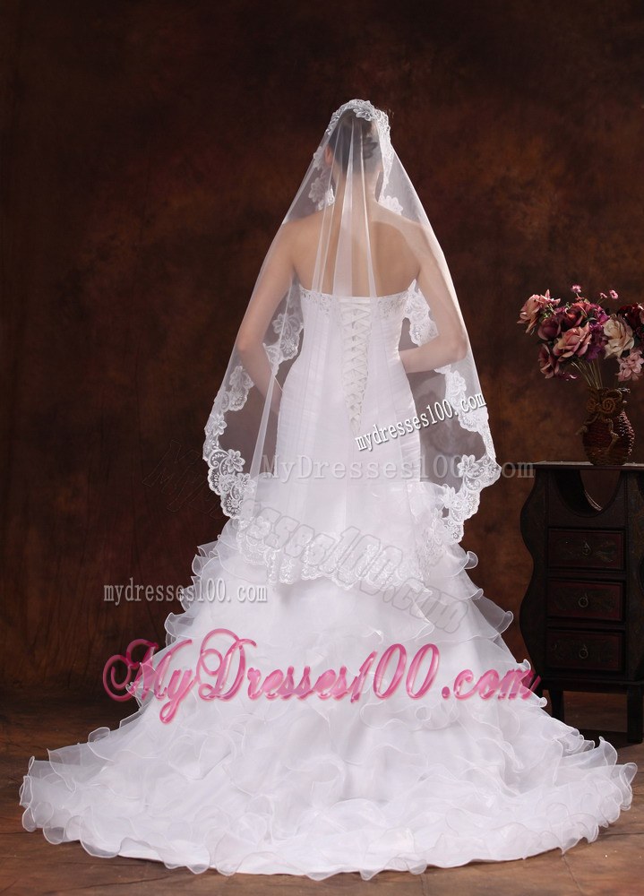 Lace Appliques Tulle Graceful Wedding Veil