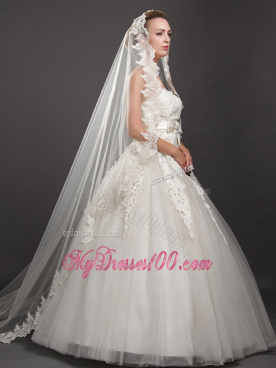Perfect Lace Appliques Edge Organza Wedding Veil