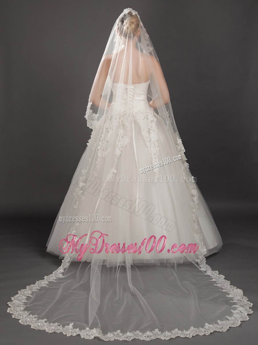 Perfect Lace Appliques Edge Organza Wedding Veil