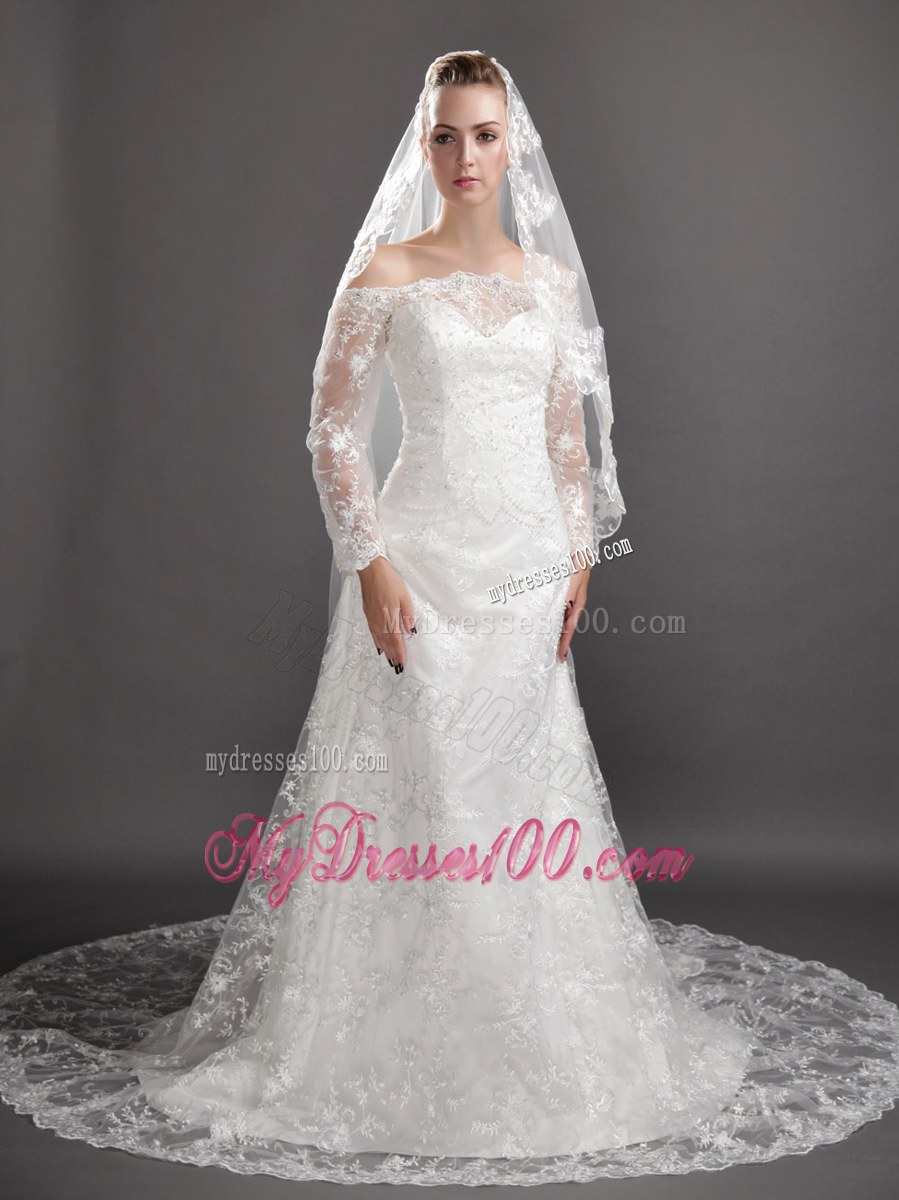 Perfect Lace Appliques Tulle Graceful Wedding Veil