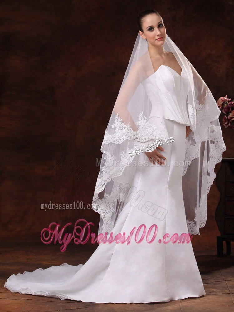 Tulle With Lace Applique Edge Graceful Wedding Veil