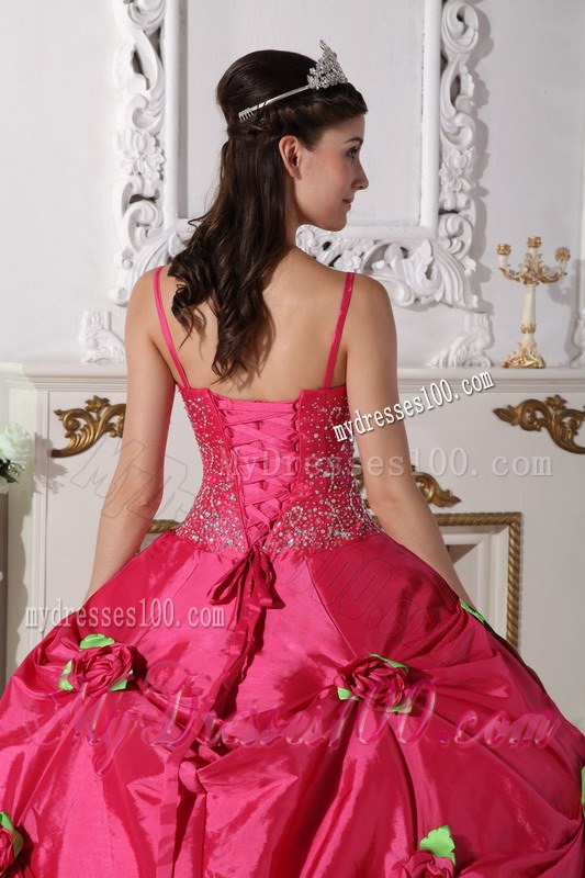 Beading Decorate Waist Flowery Quinceanera Dress in Hot Pink
