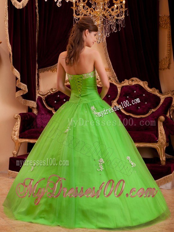 Grace Spring Green Princess Strapless Appliques Sweet 16 Dresses