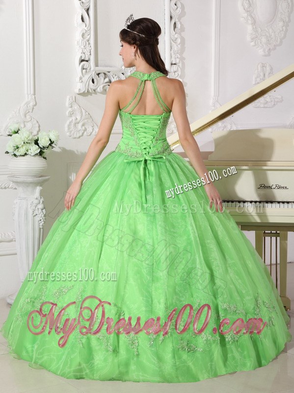 Lovely Spring Green Halter Top Taffeta and Organza Appliques Quince Dresses