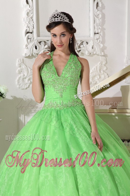 Lovely Spring Green Halter Top Taffeta and Organza Appliques Quince Dresses