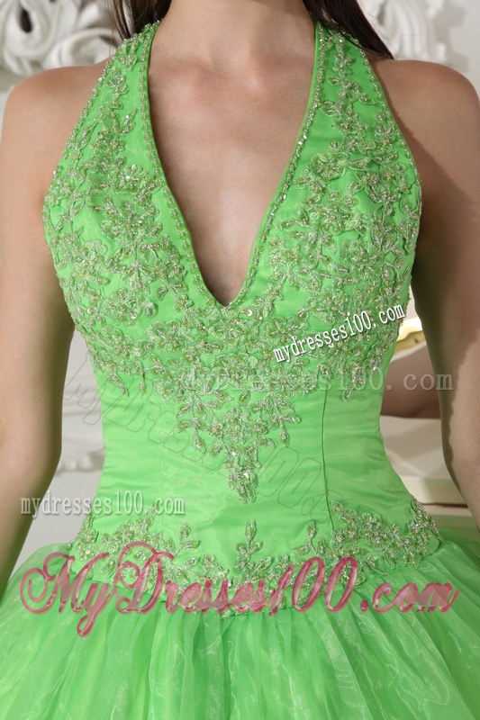 Lovely Spring Green Halter Top Taffeta and Organza Appliques Quince Dresses
