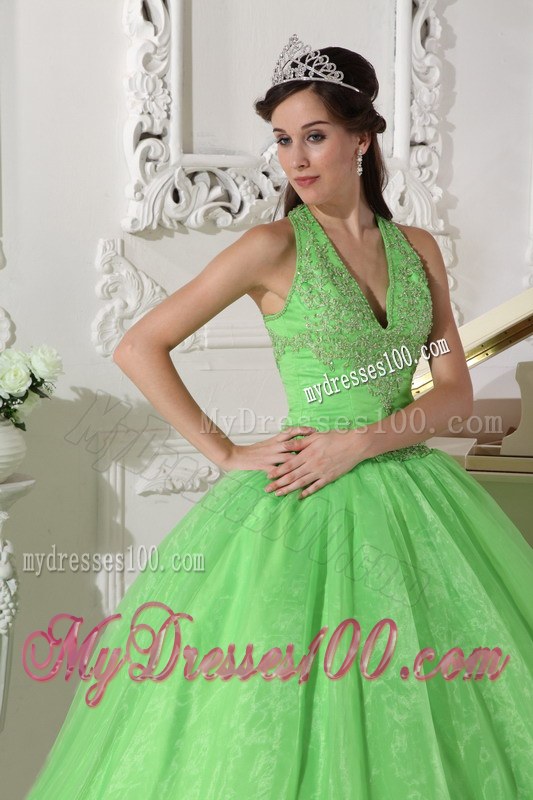 Lovely Spring Green Halter Top Taffeta and Organza Appliques Quince Dresses