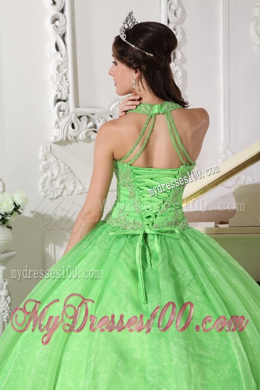 Lovely Spring Green Halter Top Taffeta and Organza Appliques Quince Dresses