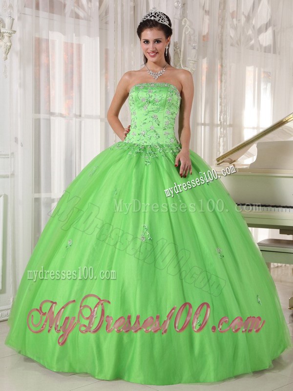 Spring Green Ball Gown Appliques Strapless Quinceanera Dress