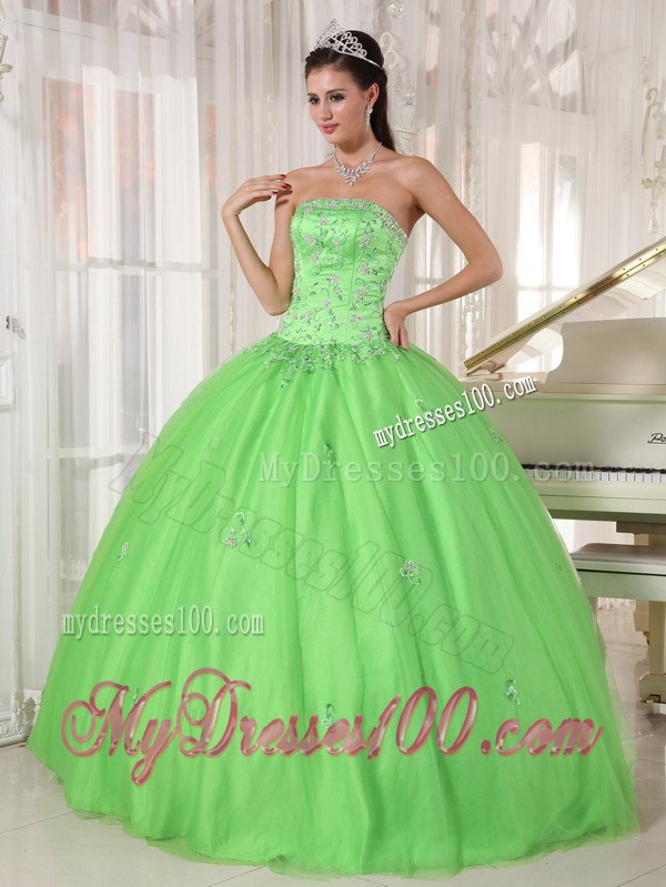 Spring Green Ball Gown Appliques Strapless Quinceanera Dress