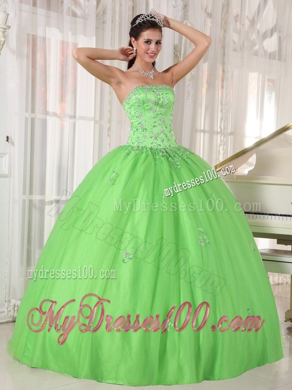Spring Green Ball Gown Appliques Strapless Quinceanera Dress