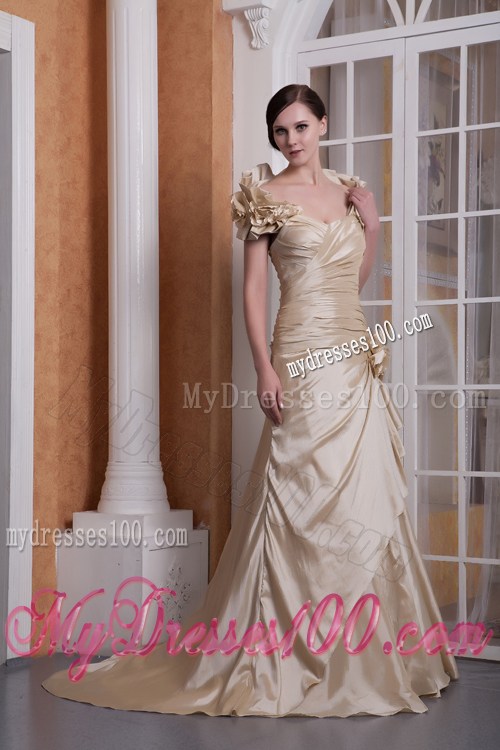 Customize Champagne Sweetheart 2013 Prom Dress Court Train