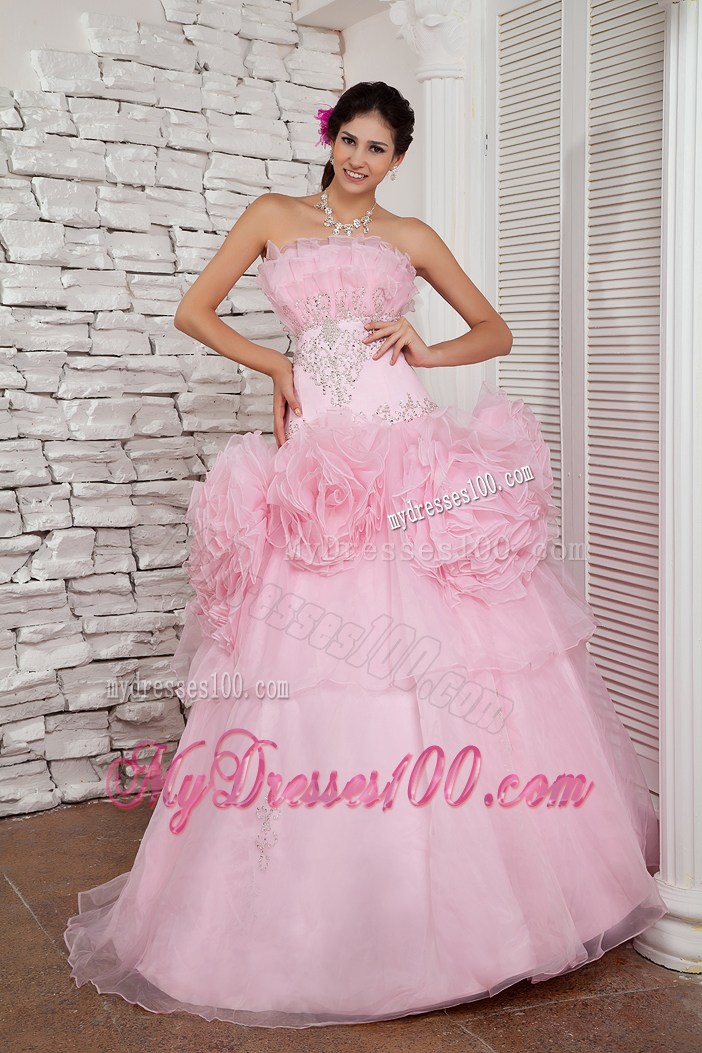 Baby Pink A-line Organza Prom Dress with Rolling Flowers