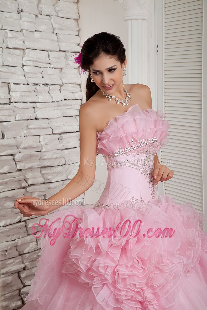 Baby Pink A-line Organza Prom Dress with Rolling Flowers