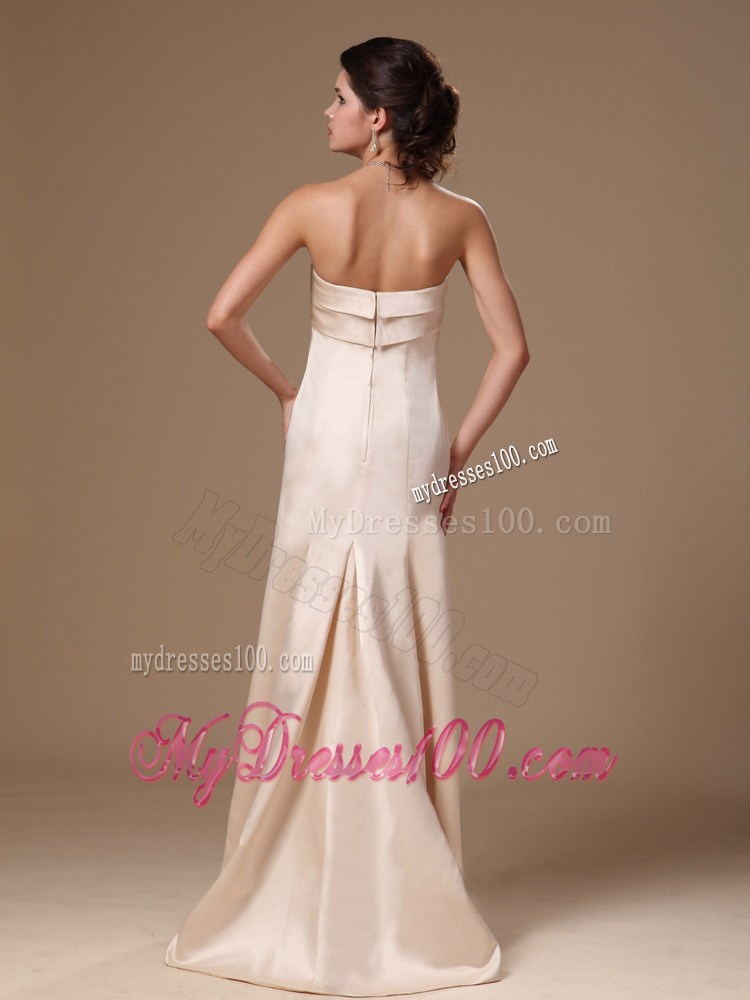 Champagne Column Bow Decorate Prom Gowns In 2013 with Brush