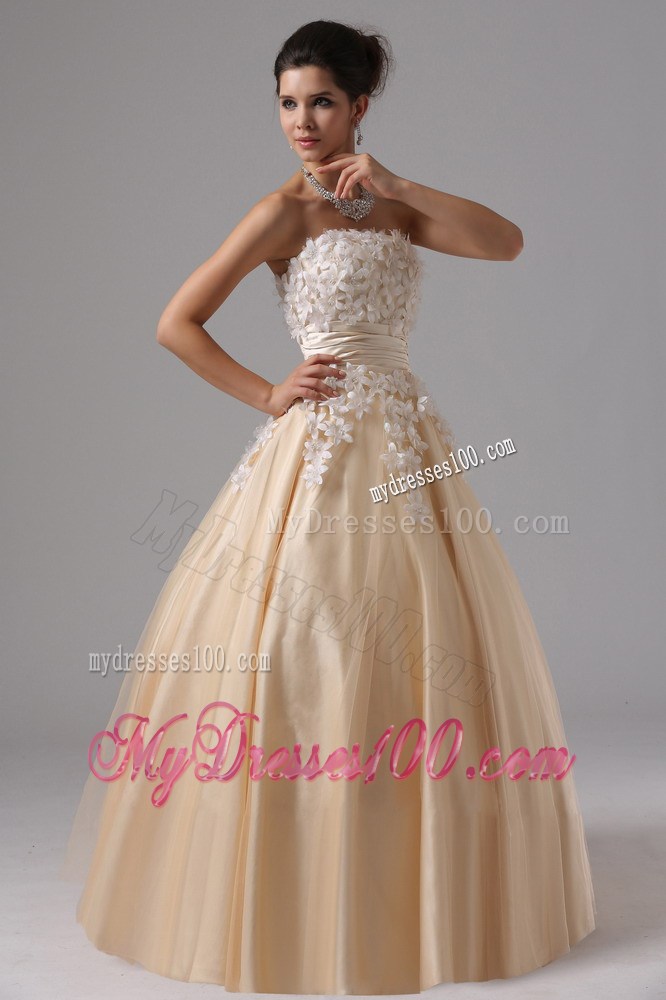 Champagne For 2013 Stylish Ball Gown Prom Dress Appliques Decorate