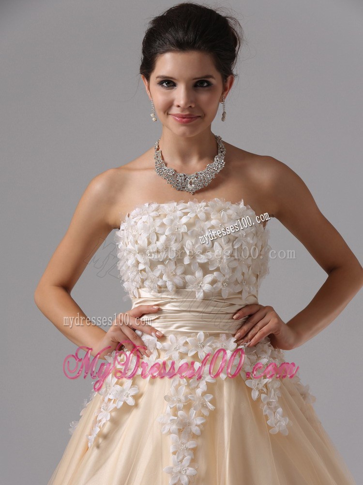 Champagne For 2013 Stylish Ball Gown Prom Dress Appliques Decorate