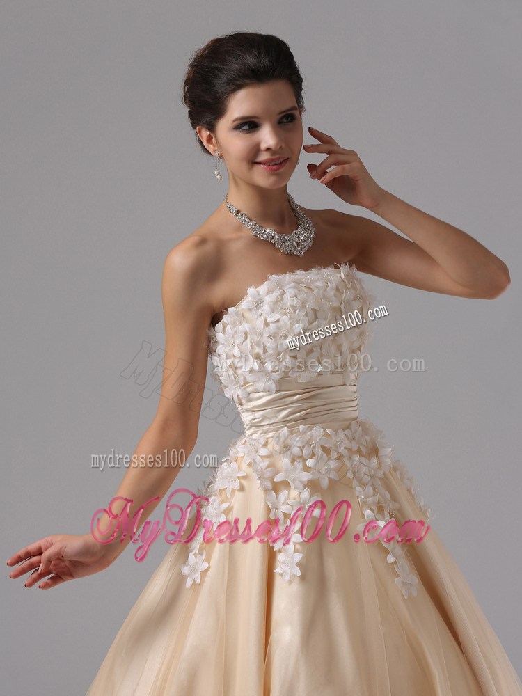 Champagne For 2013 Stylish Ball Gown Prom Dress Appliques Decorate