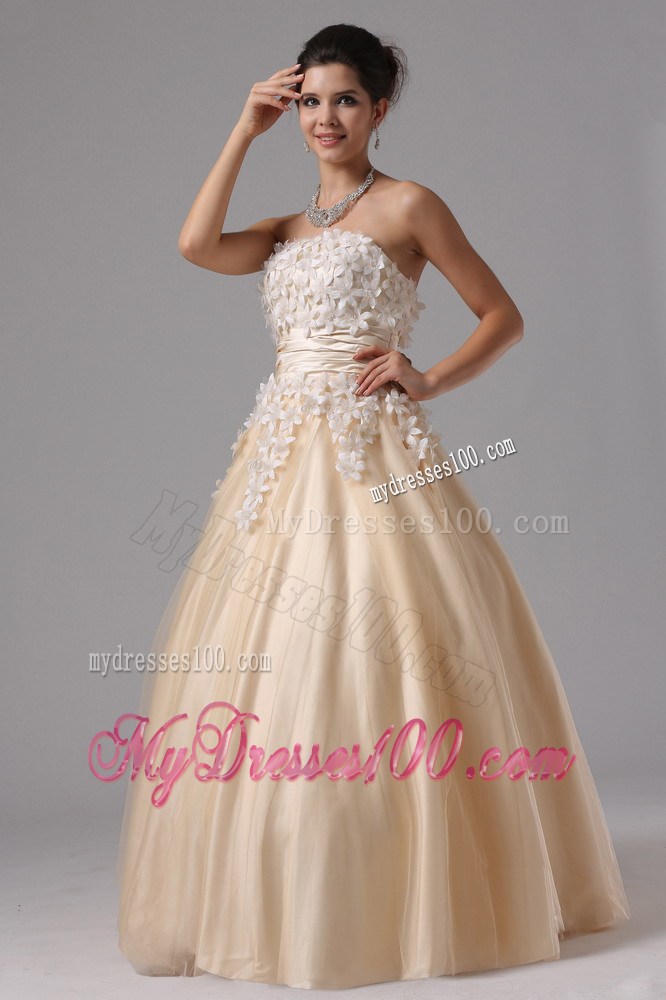 Champagne For 2013 Stylish Ball Gown Prom Dress Appliques Decorate