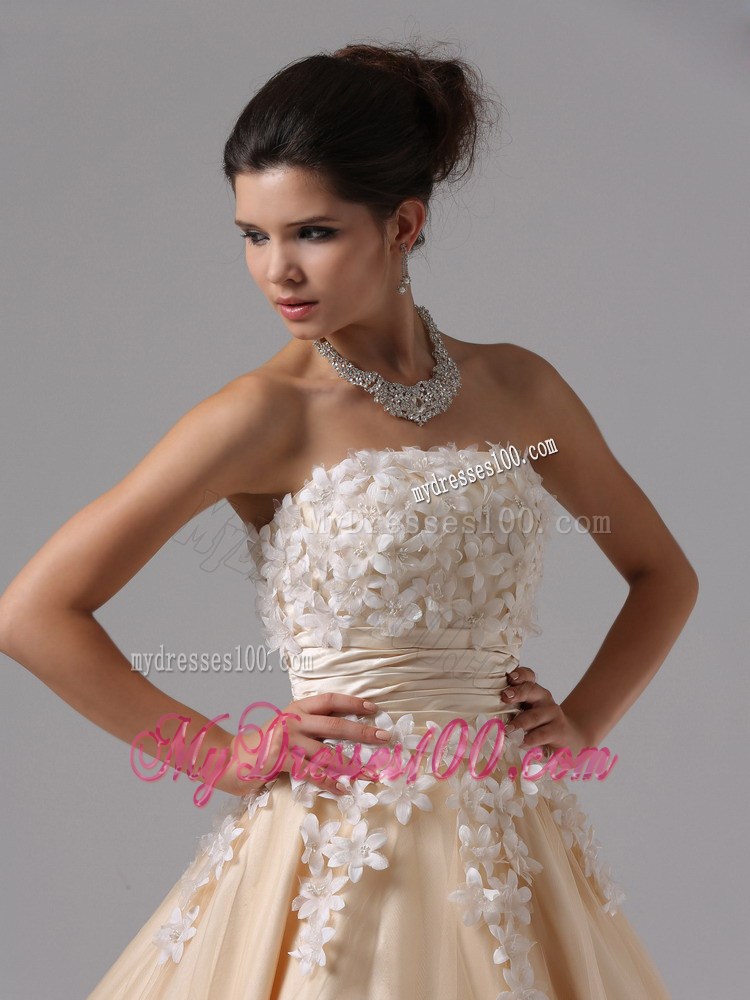 Champagne For 2013 Stylish Ball Gown Prom Dress Appliques Decorate