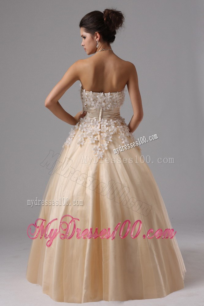 Champagne For 2013 Stylish Ball Gown Prom Dress Appliques Decorate