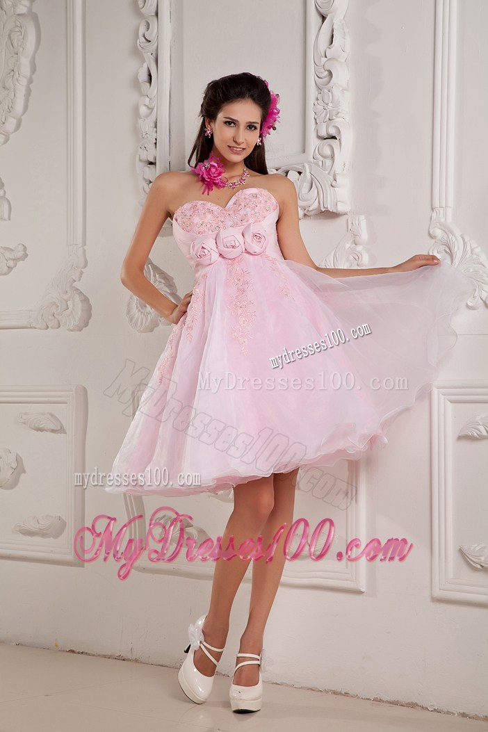Hand Made Flowers Mini Organza Prom Gown in Baby Pink