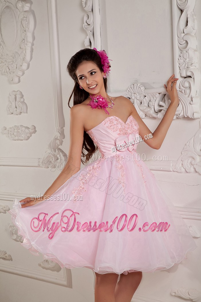 Hand Made Flowers Mini Organza Prom Gown in Baby Pink
