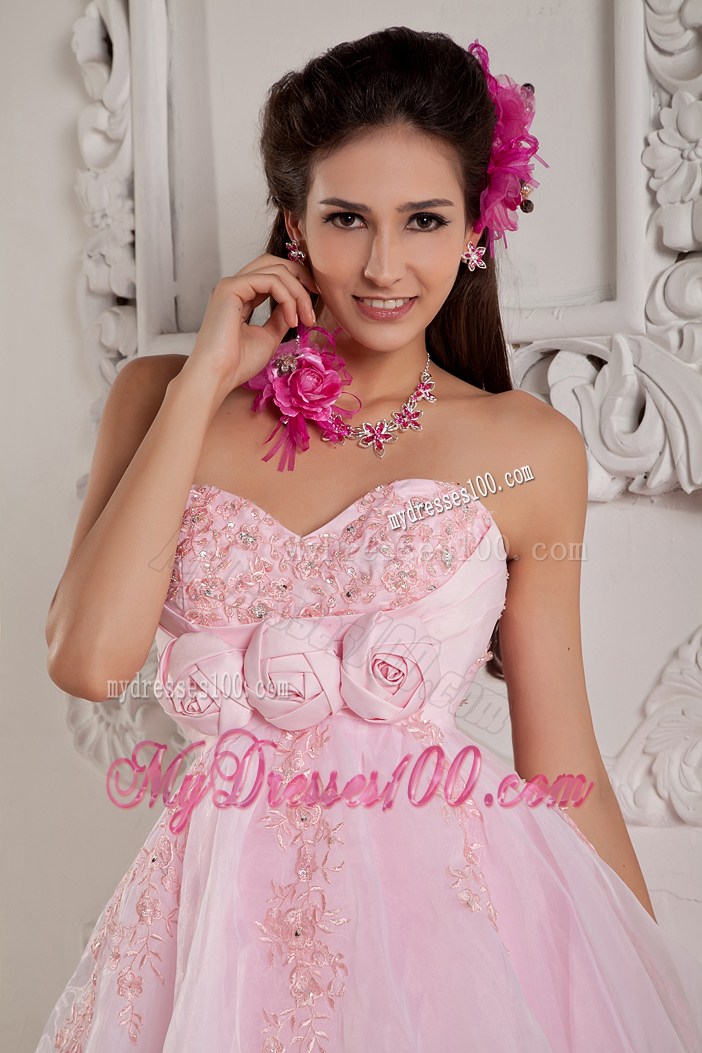 Hand Made Flowers Mini Organza Prom Gown in Baby Pink
