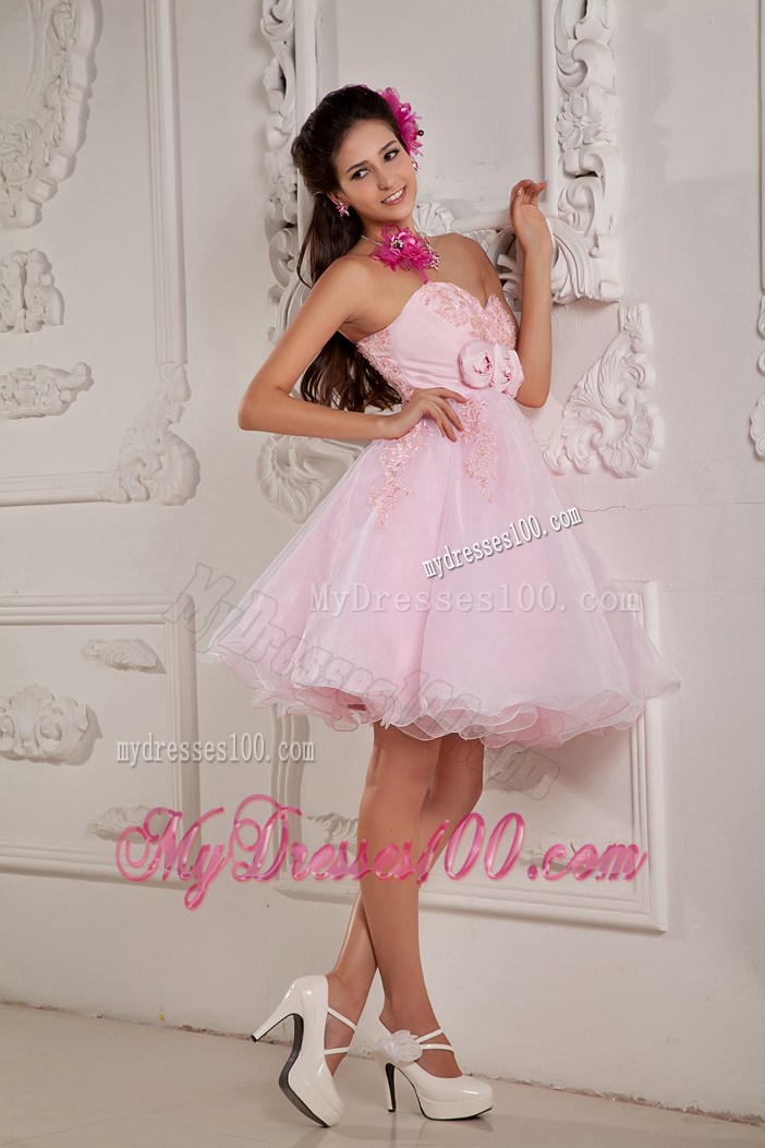 Hand Made Flowers Mini Organza Prom Gown in Baby Pink