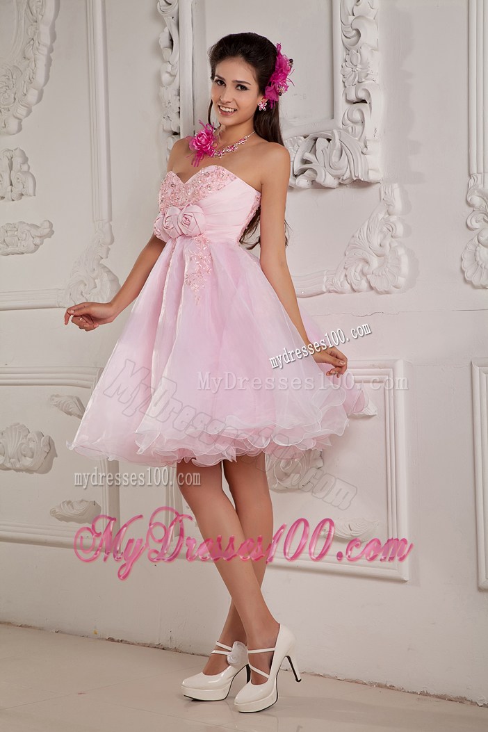 Hand Made Flowers Mini Organza Prom Gown in Baby Pink
