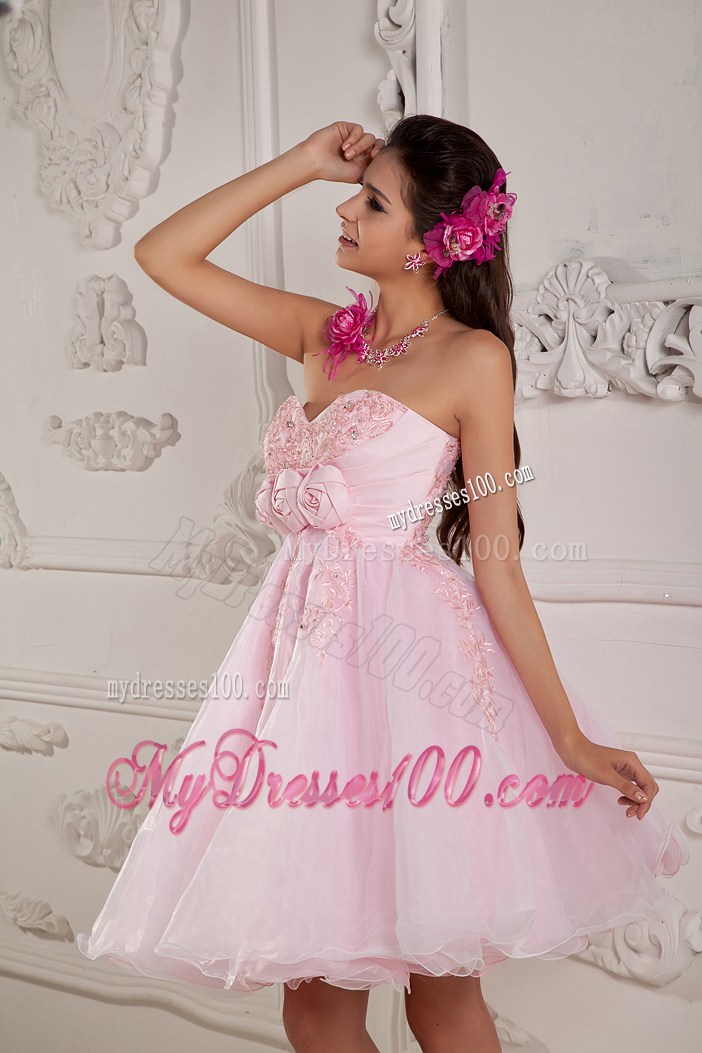 Hand Made Flowers Mini Organza Prom Gown in Baby Pink