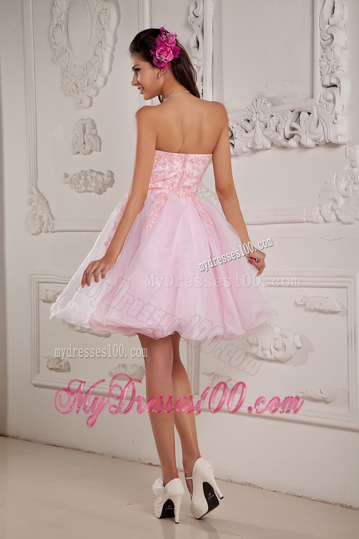 Hand Made Flowers Mini Organza Prom Gown in Baby Pink