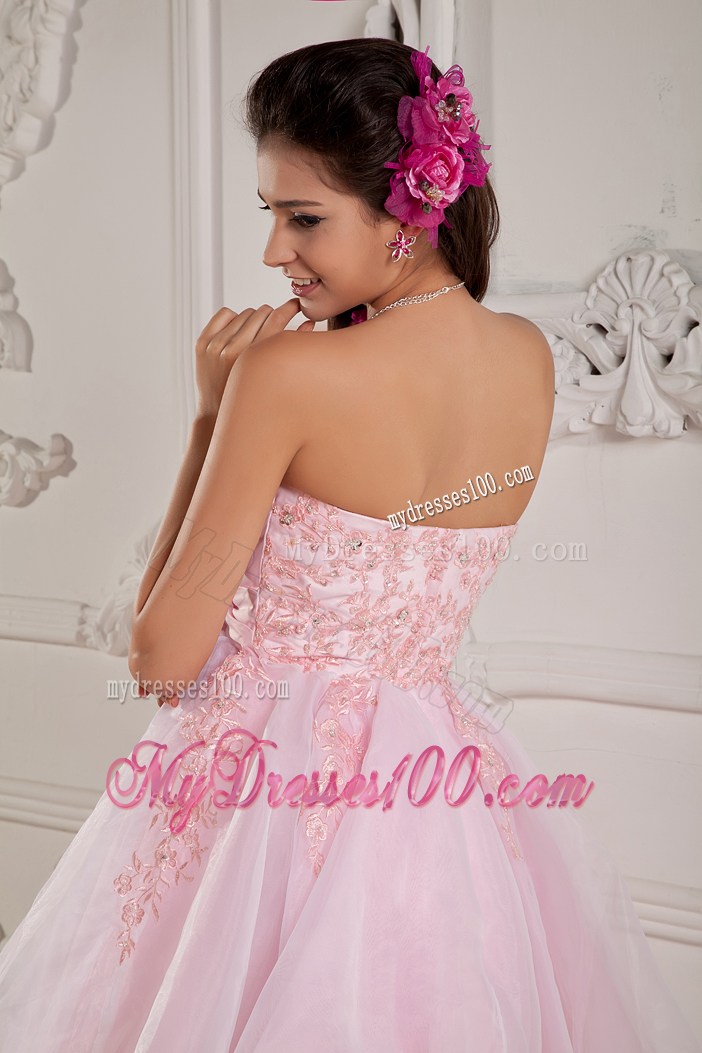 Hand Made Flowers Mini Organza Prom Gown in Baby Pink
