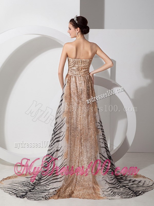 Multi-color Empire Zebra and Leopard Prom Dress Brush Decorate